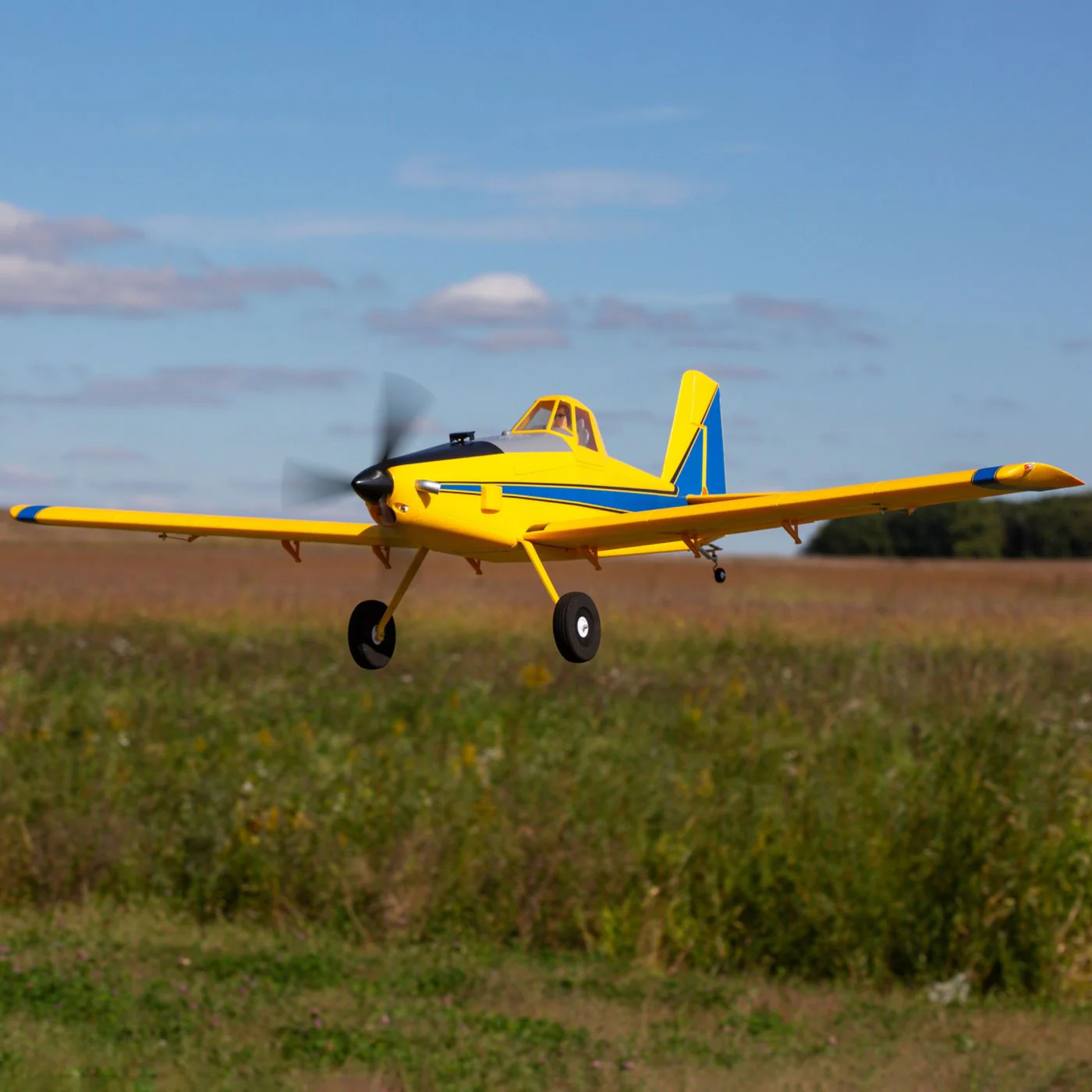 Eflite Air Tractor 1.5m BNF AS3X et SAFE Select EFL16450 - Image 4
